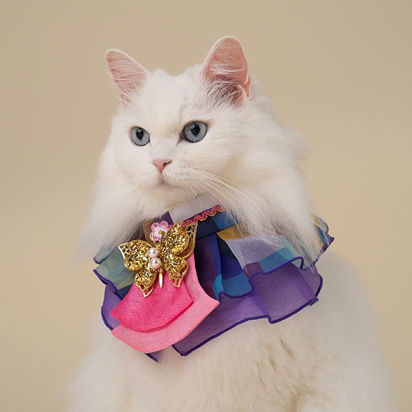 페오펫몰,HanBok Cape Purple
