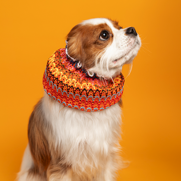 페오펫몰,New Snood 3종 (Strawberry, Waikiki Blue, Waikiki Orange)