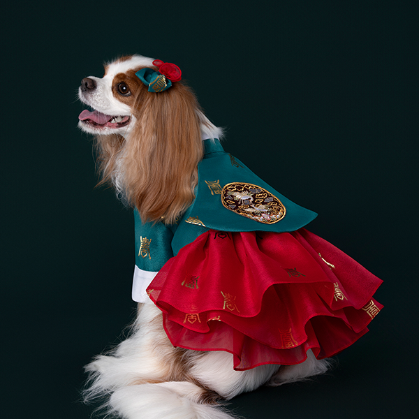 Hanbok No.4 Female Style (Dress)