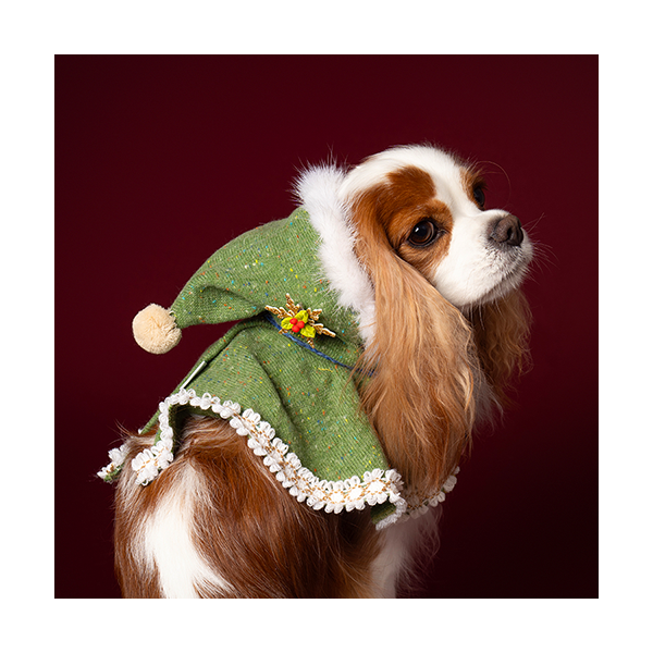 Hooded Cloak Green (후드망토 그린)