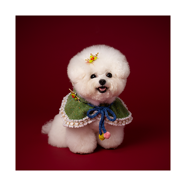 페오펫몰,Hooded Cloak Green (후드망토 그린)