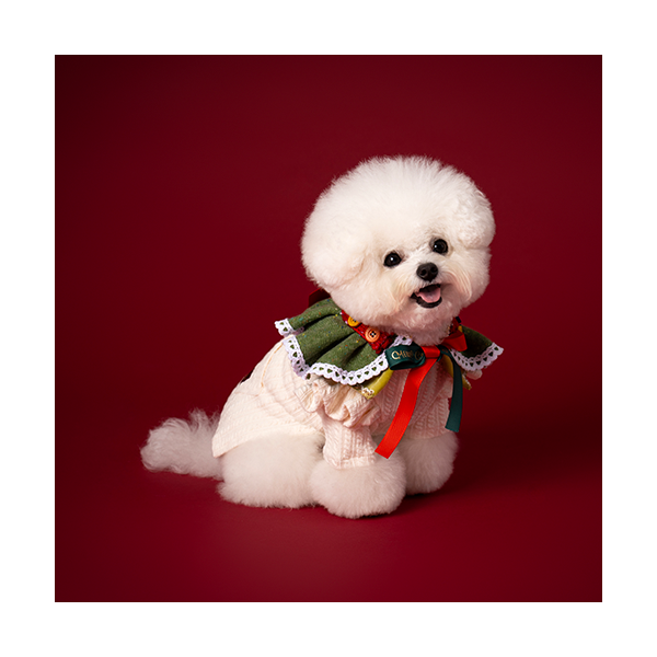 Noel Cape Green (노엘 케이프 그린)