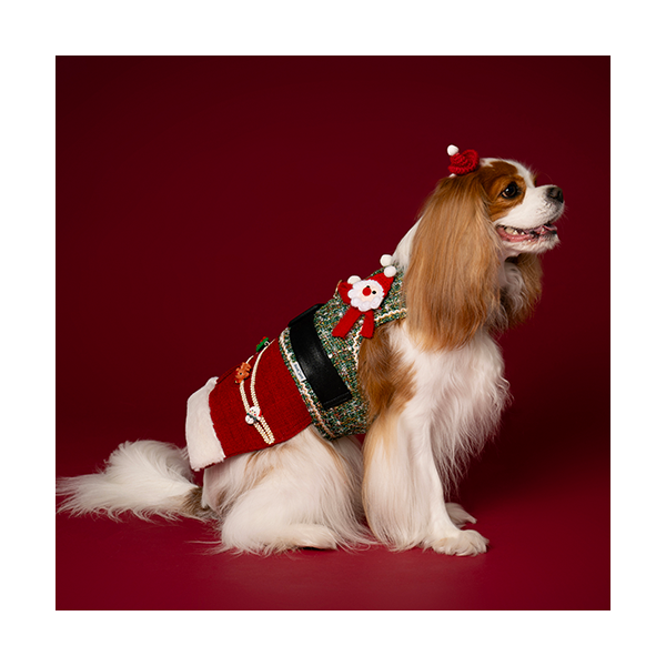 Santa Harness Dress 산타하네스