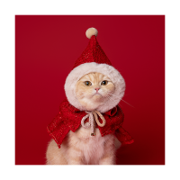 Red Hood (빨간 망토)