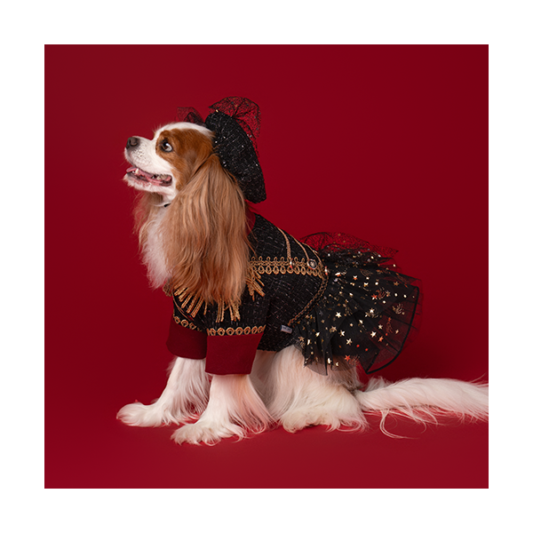 페오펫몰,New Cavalier Tweed Dress 뉴 카발리에 트위드 드레스