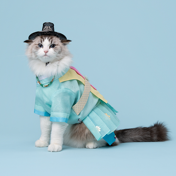 페오펫몰,Hanbok No.5 Male Style