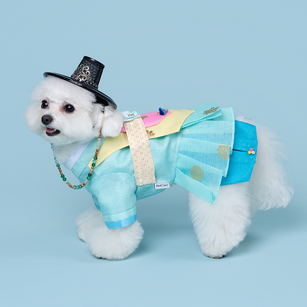 페오펫몰,Hanbok No.5 Male Style