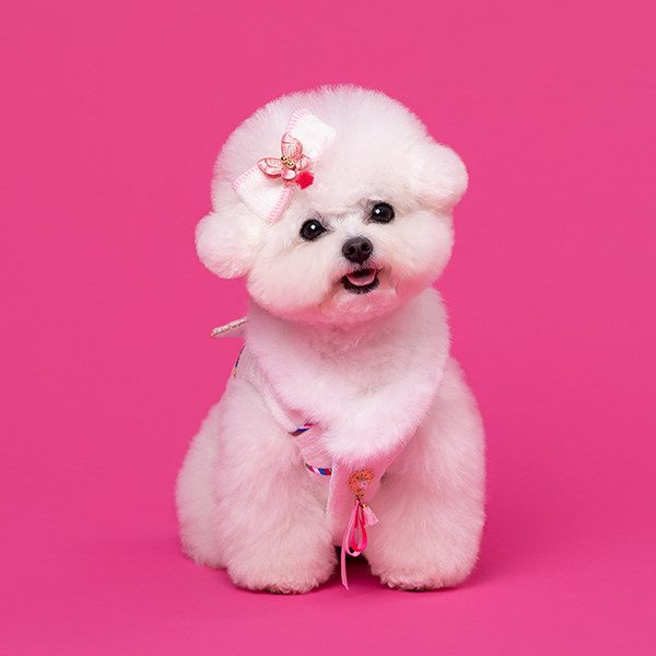 페오펫몰,Hanbok Baeja Female Style