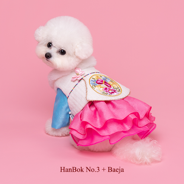 페오펫몰,Hanbok Baeja Female Style