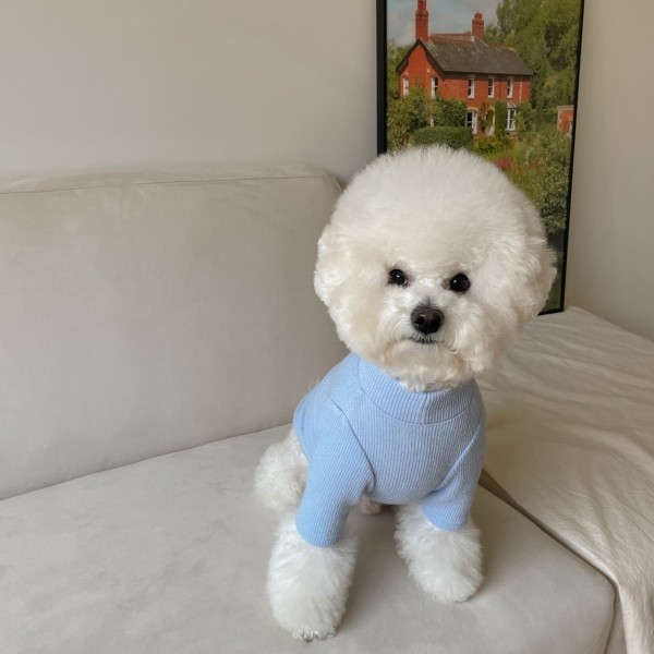 페오펫몰,강아지옷 라이크 반목 니트 봄옷 S-XL (3color)