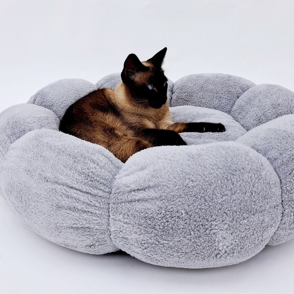 페오펫몰,개과천선 포이냥 강아지 쿠션