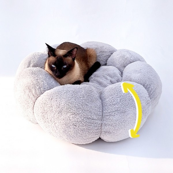 페오펫몰,개과천선 포이냥 강아지 쿠션