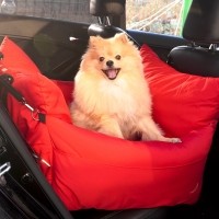 개과천선 루퐁 강아지 방수 카시트