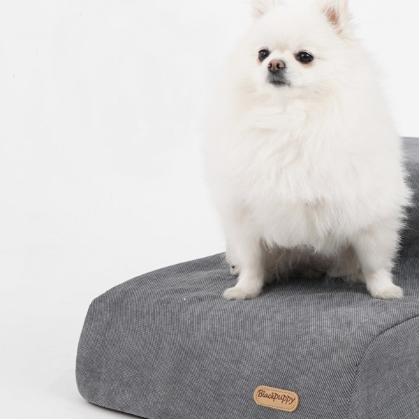 페오펫몰,개과천선 페인터 강아지 펫스텝