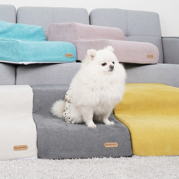 페오펫몰,개과천선 페인터 강아지 펫스텝