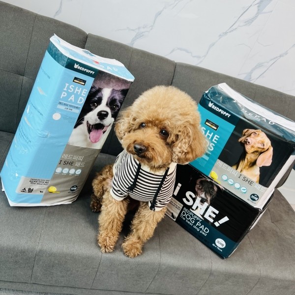 페오펫몰,개과천선 강아지 배변 패드 중형 대형 200매 엠보싱