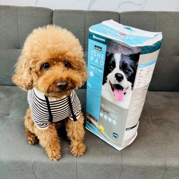 페오펫몰,개과천선 강아지 배변 패드 중형 대형 200매 엠보싱