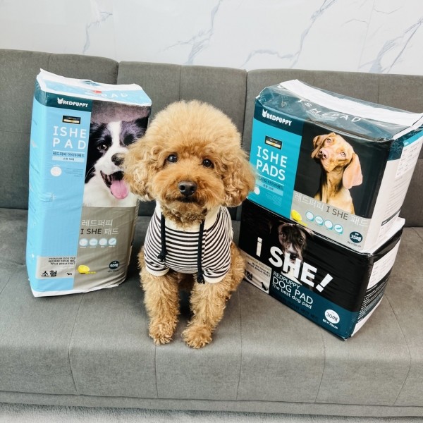 페오펫몰,개과천선 강아지 배변 패드 중형 대형 200매 엠보싱