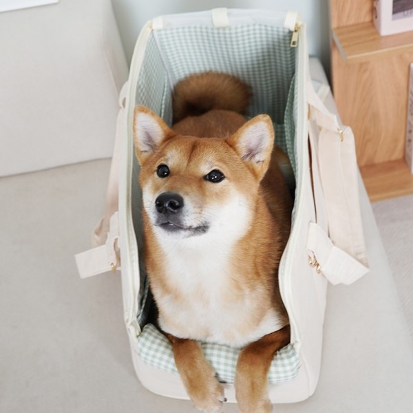페오펫몰,개과천선 베리빅 강아지 이동가방 대형