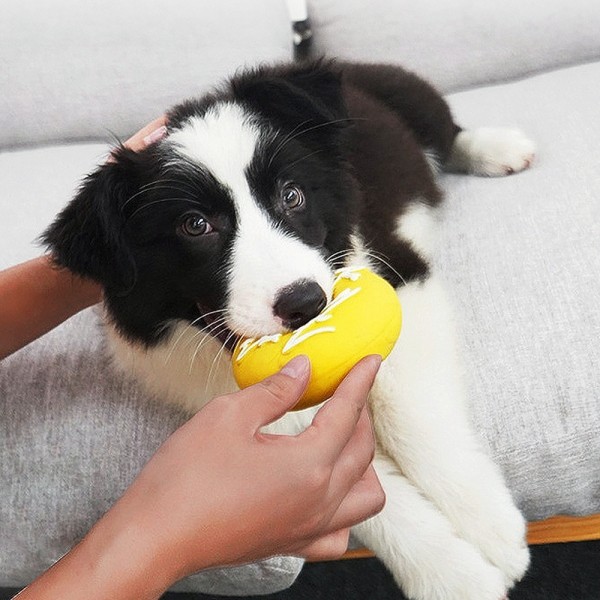 페오펫몰,개과천선 도나스 강아지 장난감