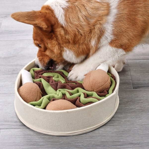 페오펫몰,개과천선 후라이 노즈워크 강아지 장난감