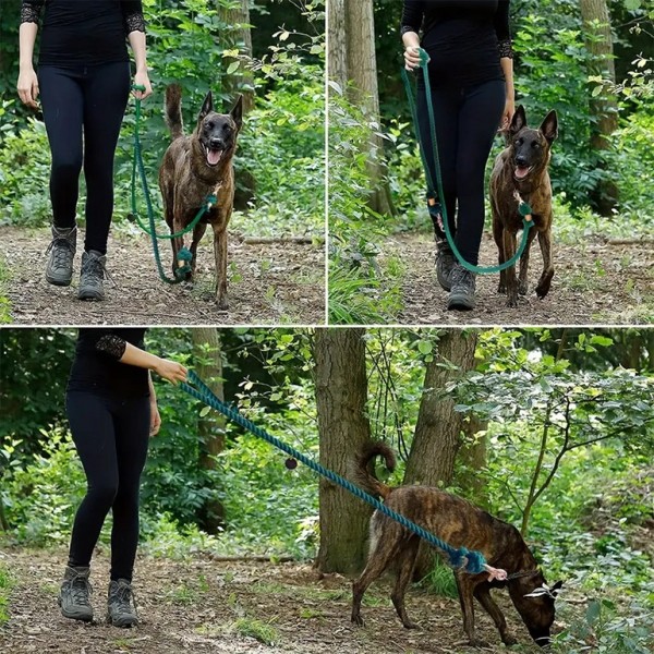 페오펫몰,개과천선 빅트라 대형견 강아지 리드줄 다크그린 2.4M