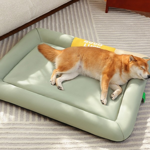 페오펫몰,개과천선 바운시 강아지 방석 빅쿠션