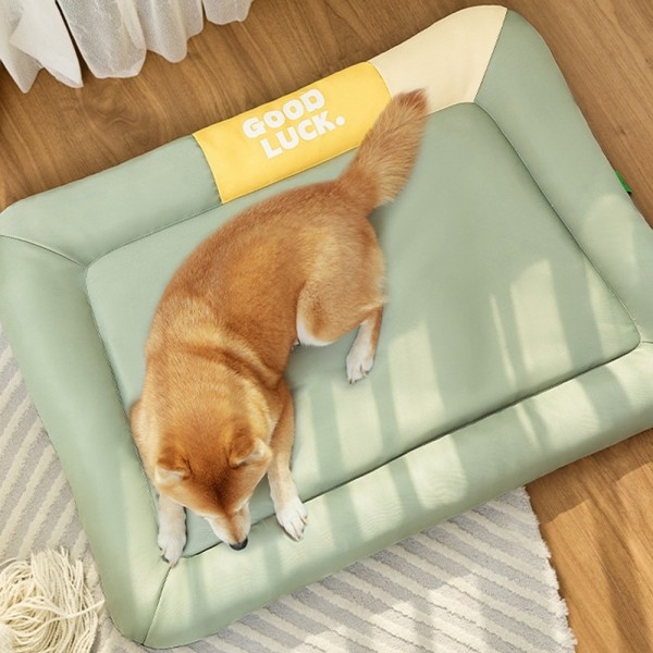 페오펫몰,개과천선 바운시 강아지 방석 빅쿠션