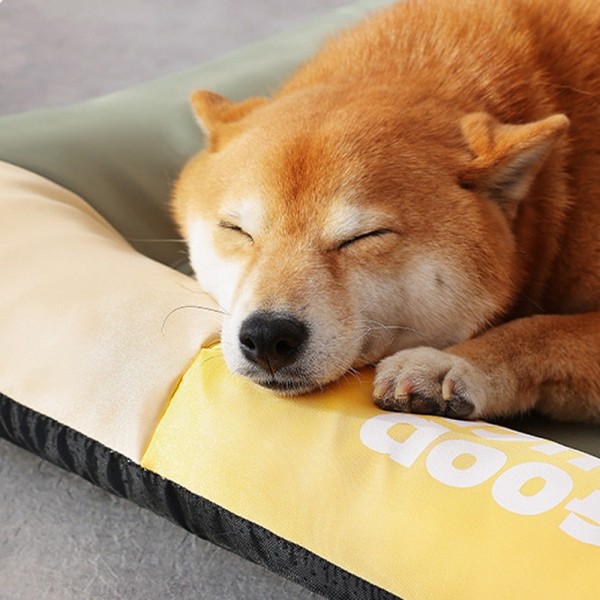 페오펫몰,개과천선 바운시 강아지 방석 빅쿠션