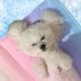 썸네일(스크롤)