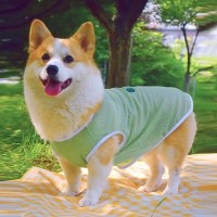 개과천선 프리니 쿨 메쉬 강아지 나시