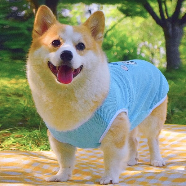 페오펫몰,개과천선 프리니 쿨 메쉬 강아지 나시
