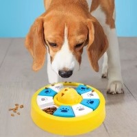 개과천선 테치 노즈워크 강아지 장난감 (색상랜덤)