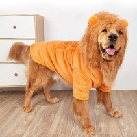 개과천선 라이호 강아지 후드티