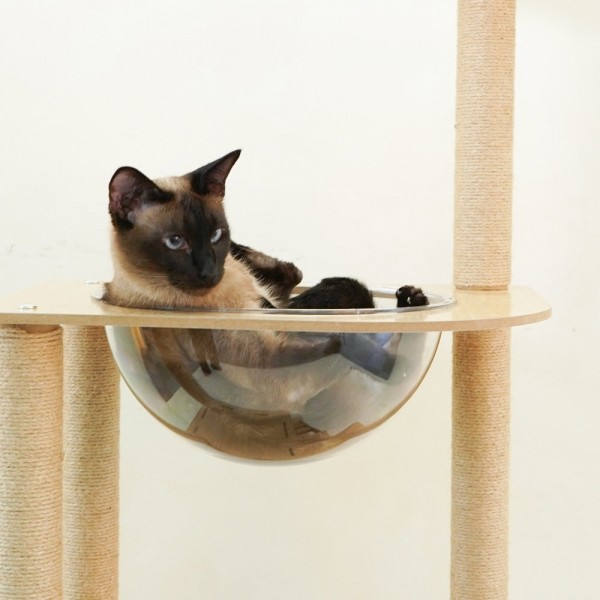 페오펫몰,개과천선 어몽드 무드 고양이 캣타워 스크래쳐