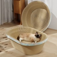 개과천선 어몽드 에이빈 고양이 스크래쳐