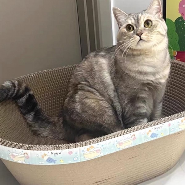 페오펫몰,개과천선 어몽드 에이빈 고양이 스크래쳐