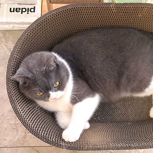 페오펫몰,개과천선 어몽드 에이빈 고양이 스크래쳐