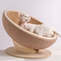 개과천선 어몽드 덴트볼 고양이 스크래쳐