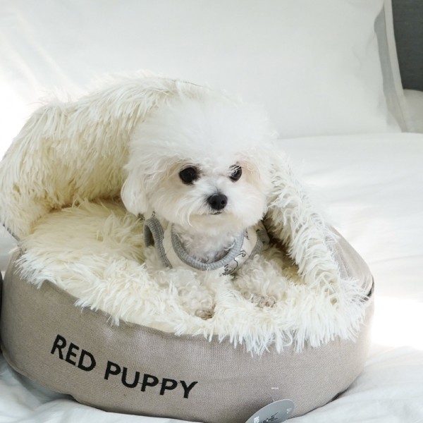 페오펫몰,[감사특가] 개과천선 퍼비 돔 반려동물 하우스