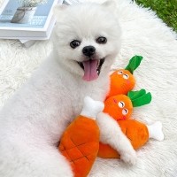 개과천선 캐로팝 삑삑이 장난감