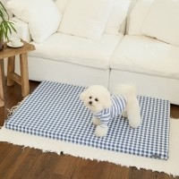 개과천선 리비아 침대 방석