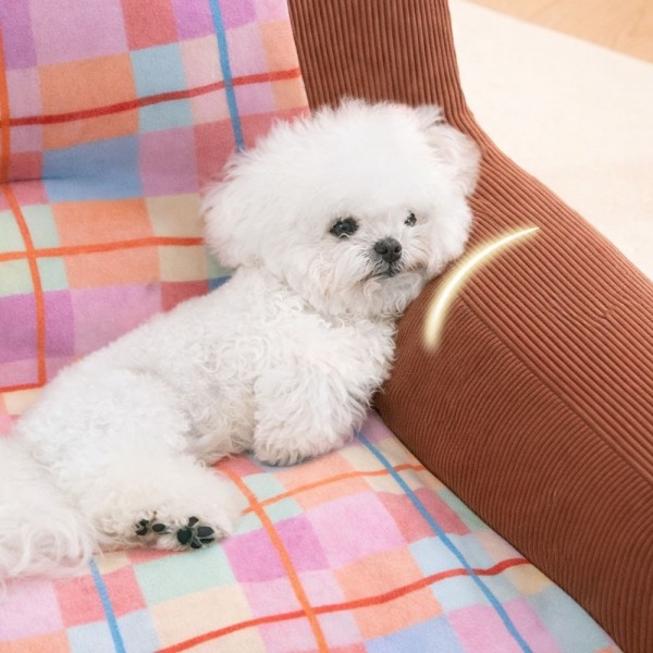 페오펫몰,개과천선 아르벨 강아지 쿠션 고양이 방석