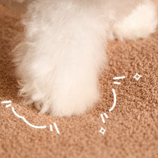 페오펫몰,개과천선 아빌로 강아지 쿠션 고양이 방석