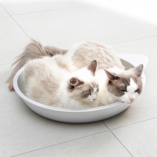 페오펫몰,개과천선 댕냥쿨베드 매트