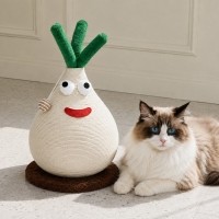개과천선 어몽드 어니언 고양이 스크래쳐