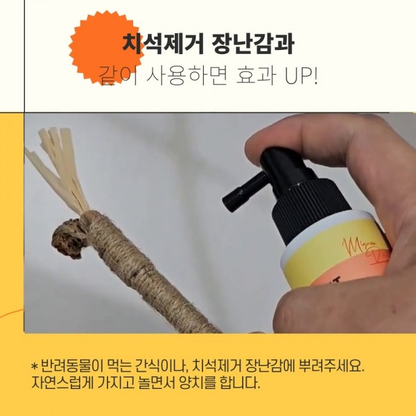 페오펫몰,미뇽 덴티 캣 고양이 치석제거 뿌리는치약 캣 덴탈워터 구강청결제 100ml