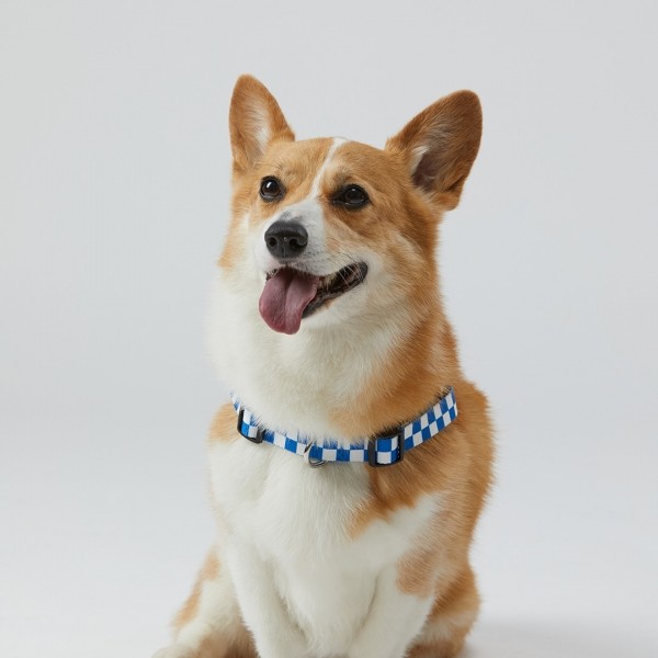 페오펫몰,일로 텐텐 TENTEN 하네스 - 블루 (L형)