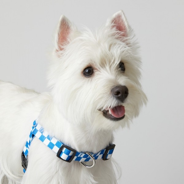 페오펫몰,일로 텐텐 TENTEN 하네스 - 블루 (L형)