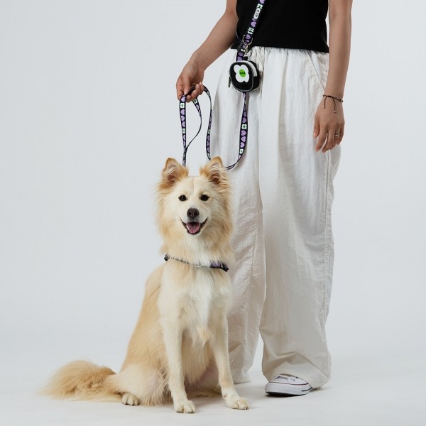 페오펫몰,일로 럽미 LUV ME 더블락 목줄